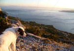 mountin view