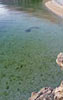 sea beach