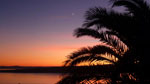 sunset sokol